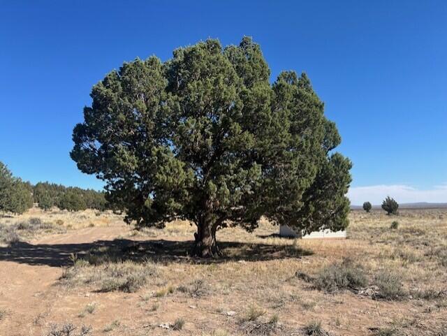 TL 1200 Millican Road