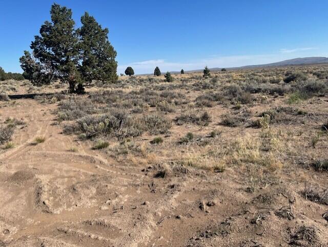 TL 1200 Millican Road