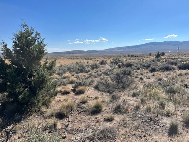 TL 1200 Millican Road