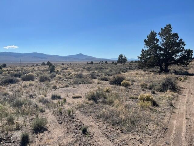 TL 1200 Millican Road