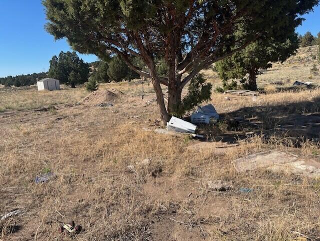 TL 1200 Millican Road