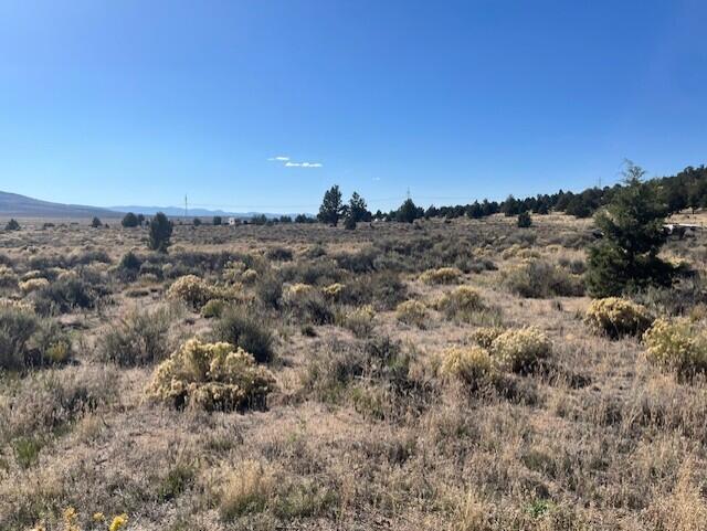 TL 1200 Millican Road