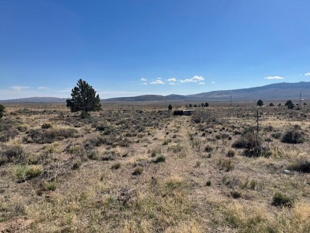 TL 1200 Millican Road