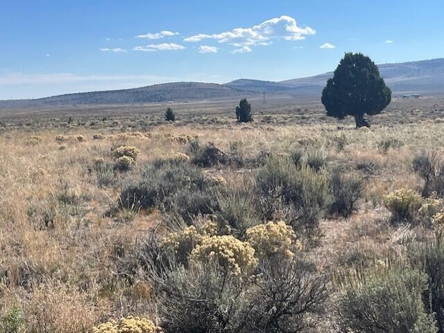 TL 1200 Millican Road