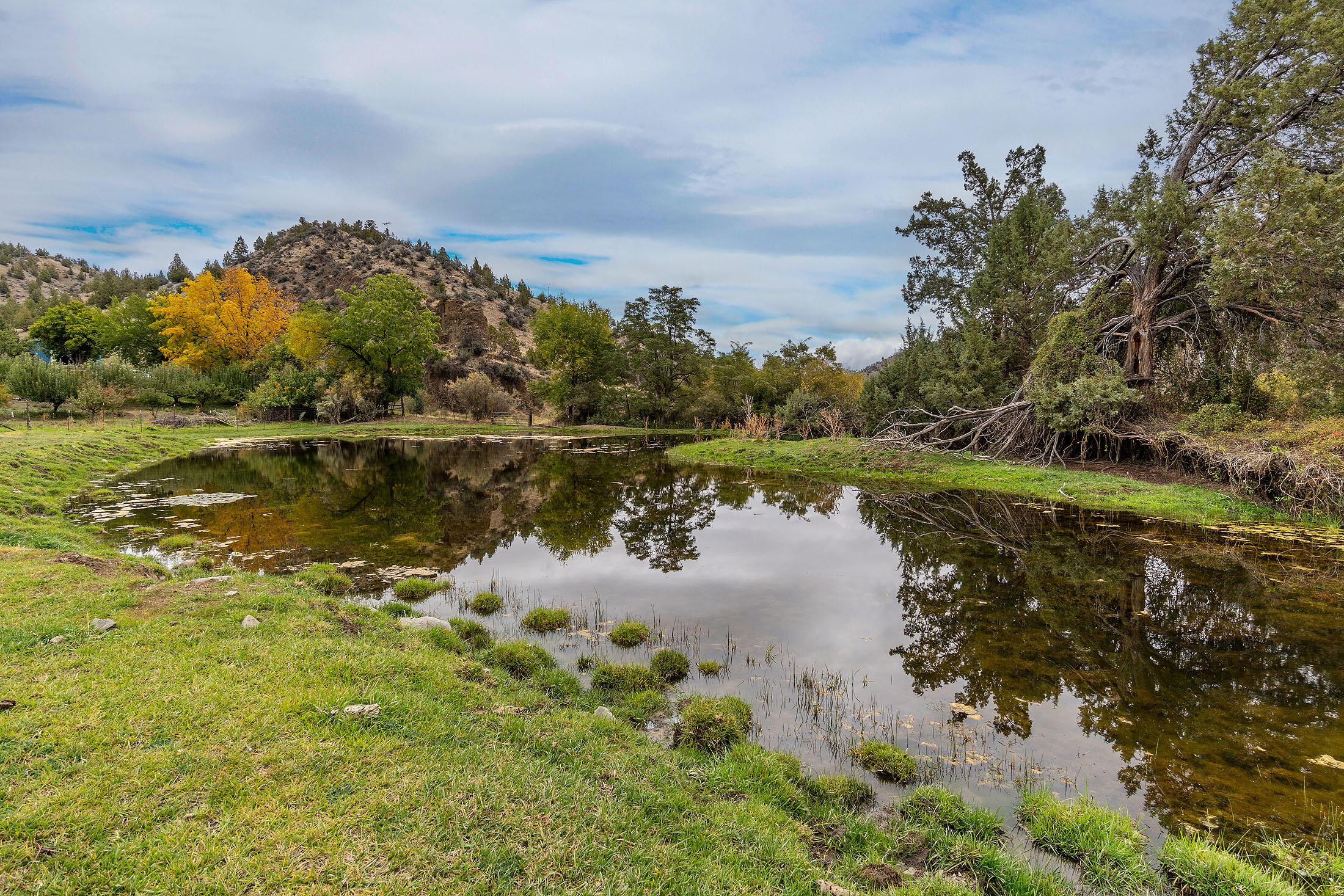 33084 Cougar Mountain Road, Mitchell