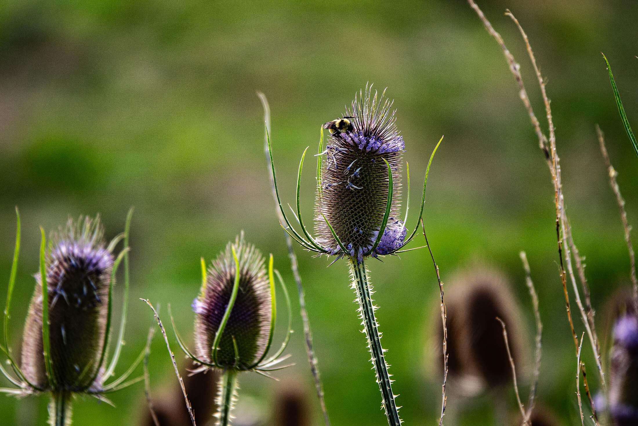 33084 Cougar Mountain Road, Mitchell