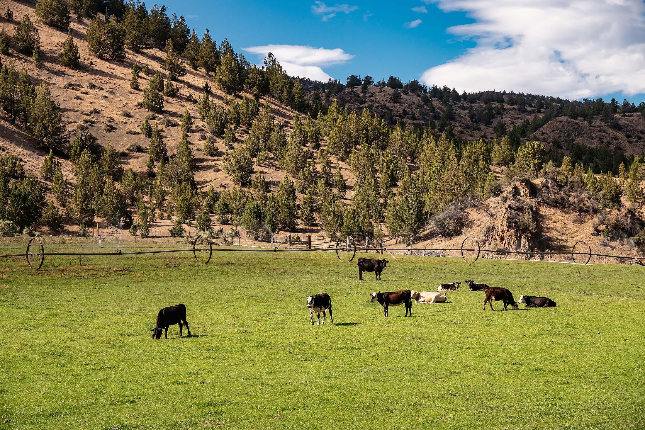 33084 Cougar Mountain Road, Mitchell