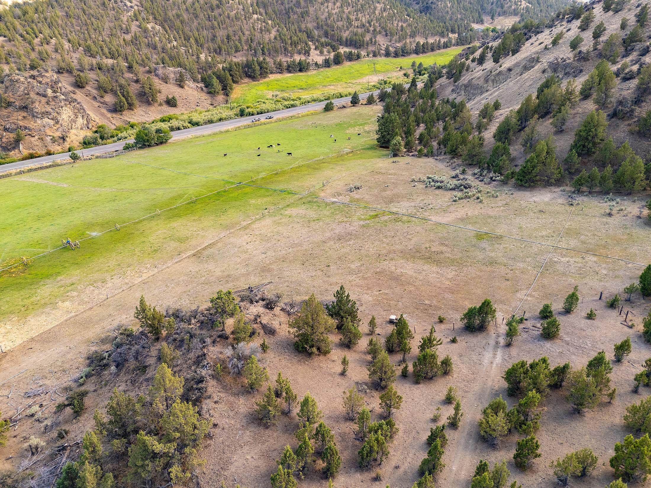 33084 Cougar Mountain Road, Mitchell