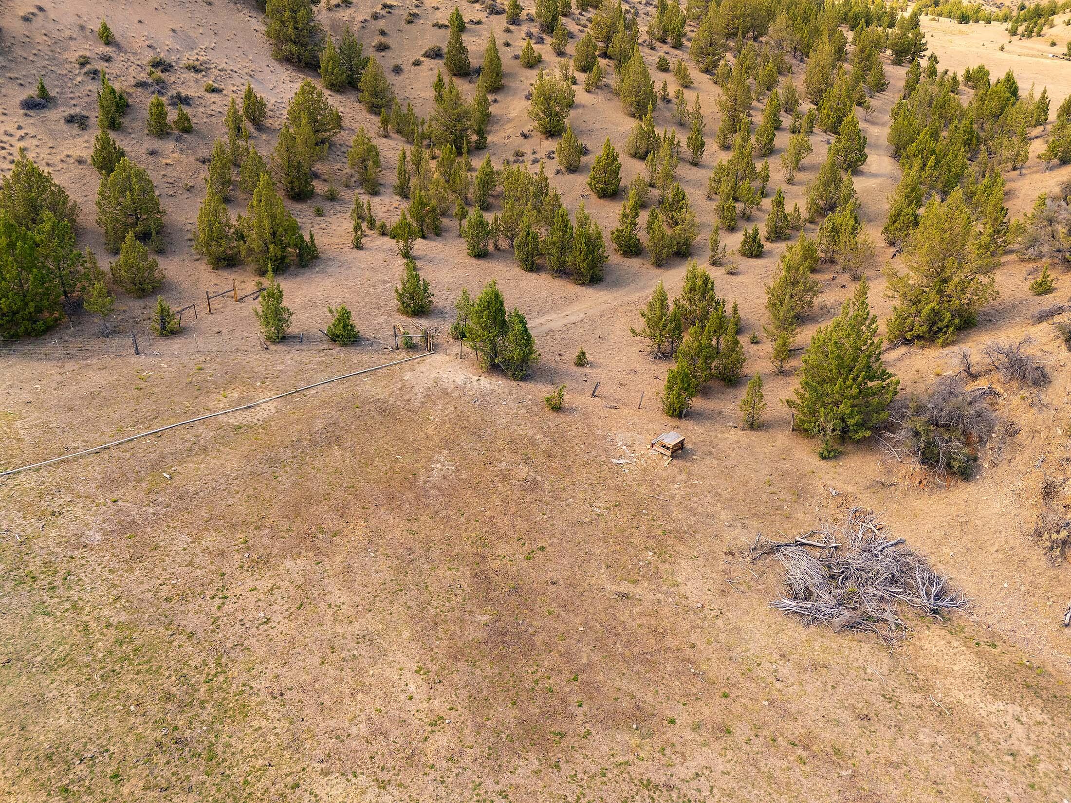 33084 Cougar Mountain Road, Mitchell