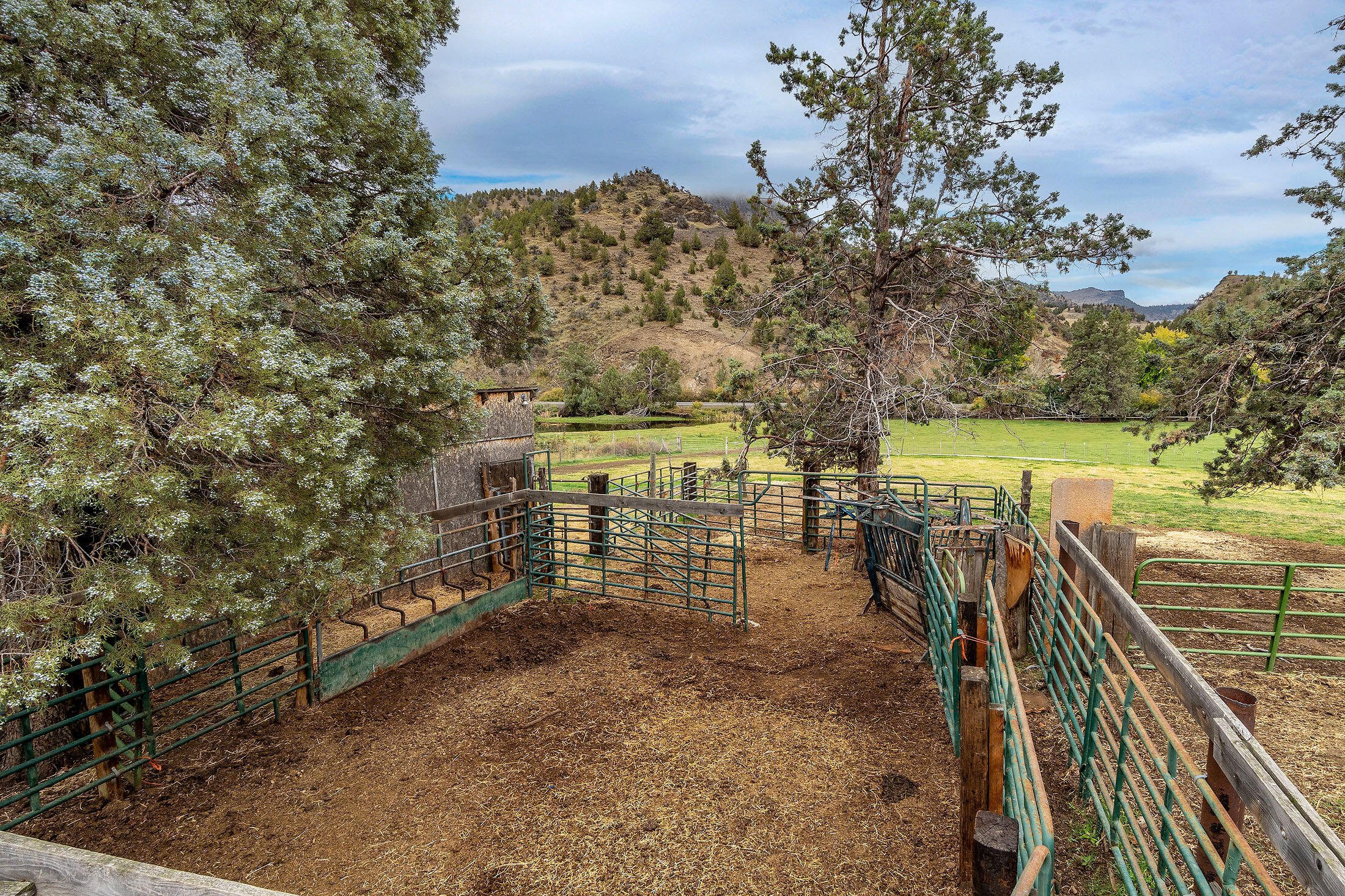 33084 Cougar Mountain Road, Mitchell