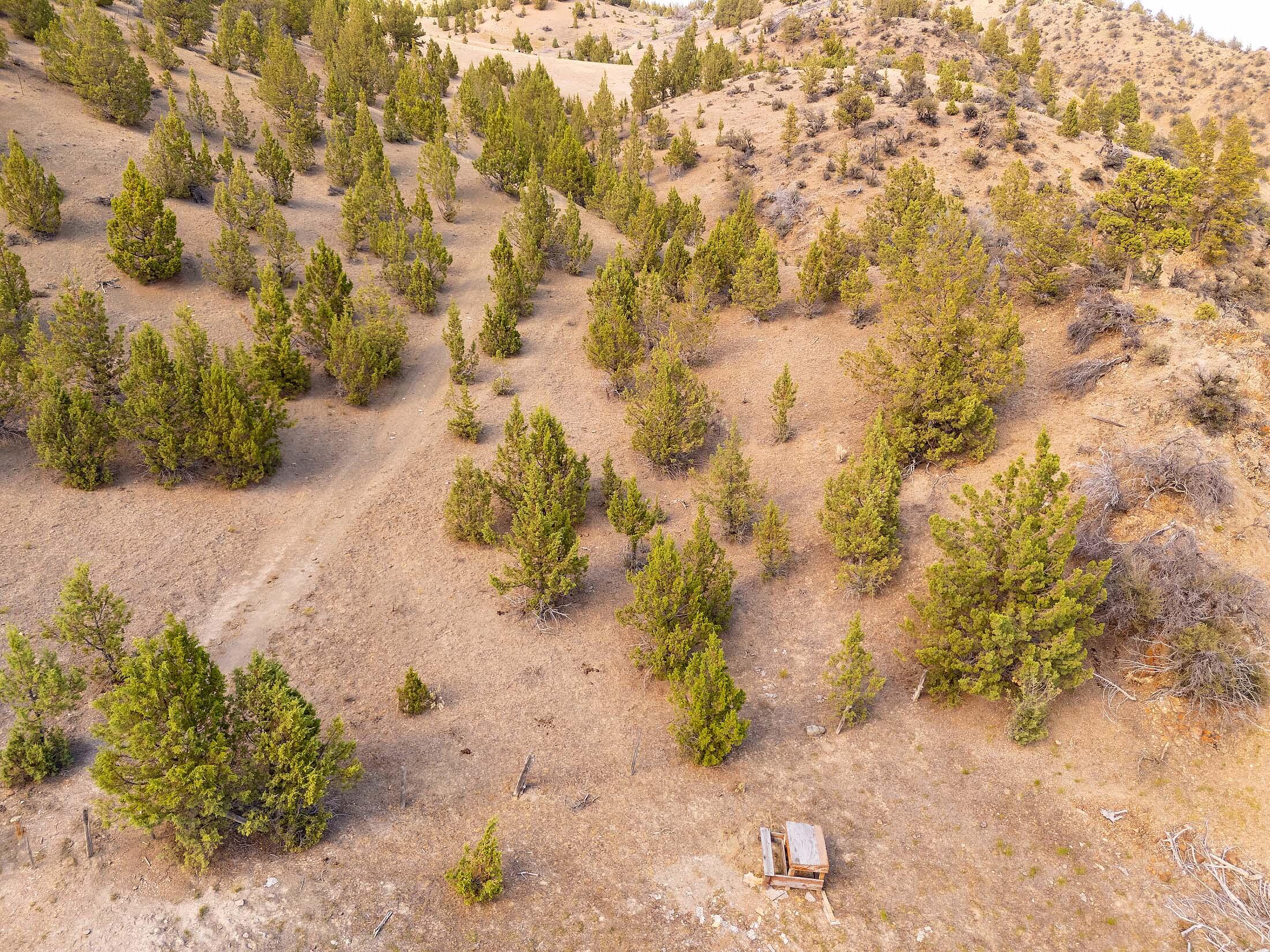 33084 Cougar Mountain Road, Mitchell