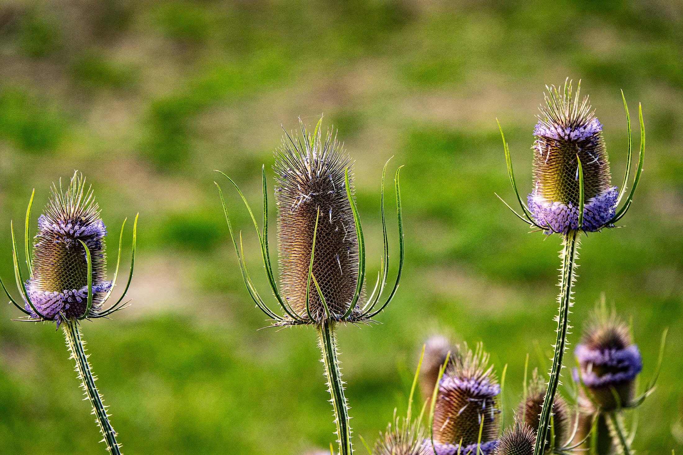 33084 Cougar Mountain Road, Mitchell