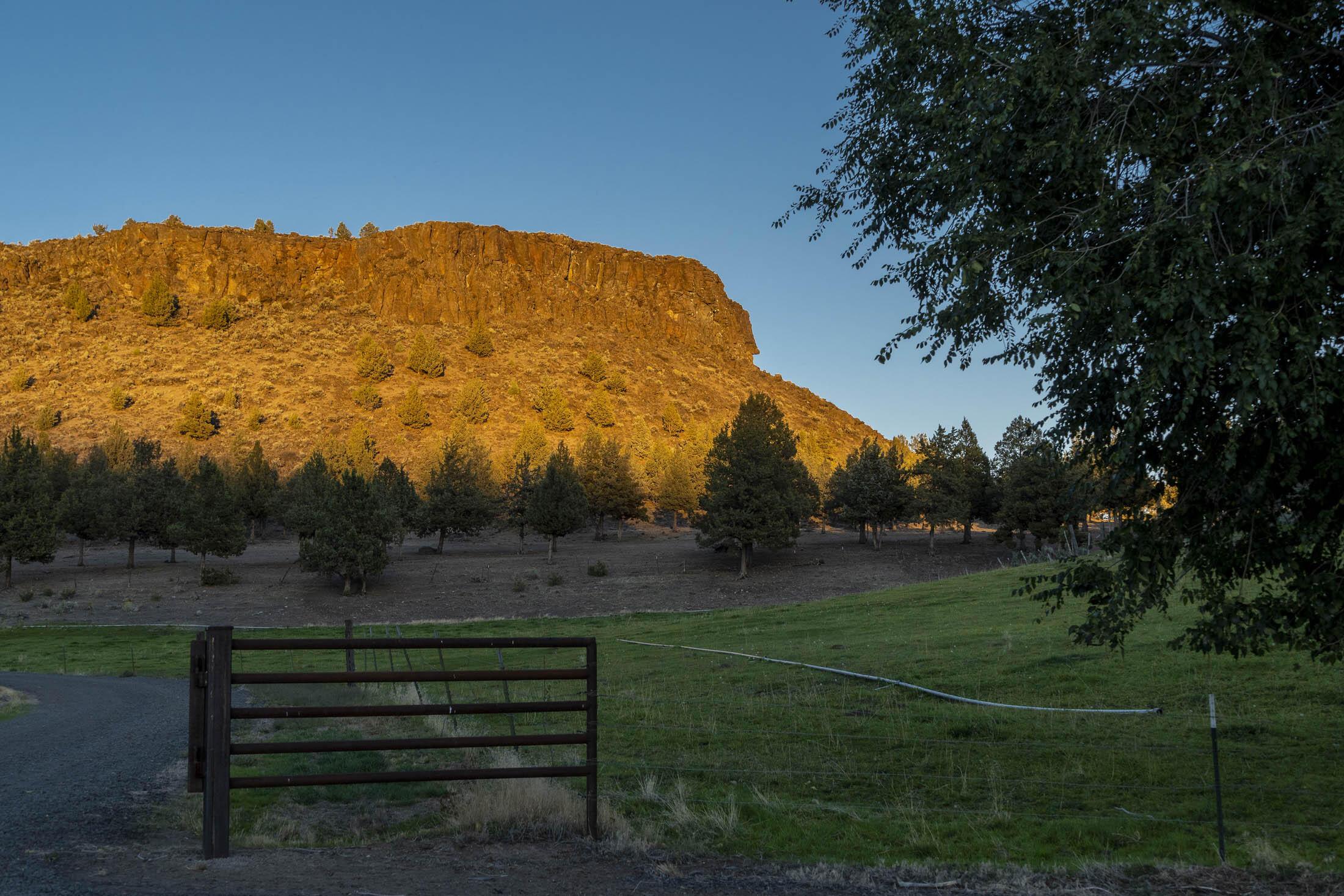 8892 NW Campbell Ranch Road