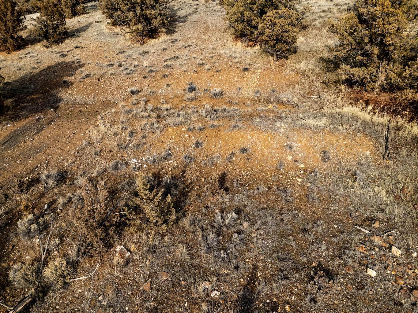 SE TL 1700 Vista Loop