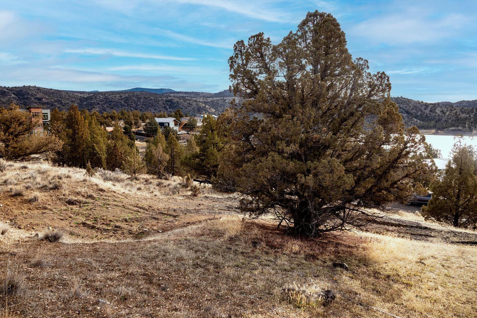 SE TL 1700 Vista Loop