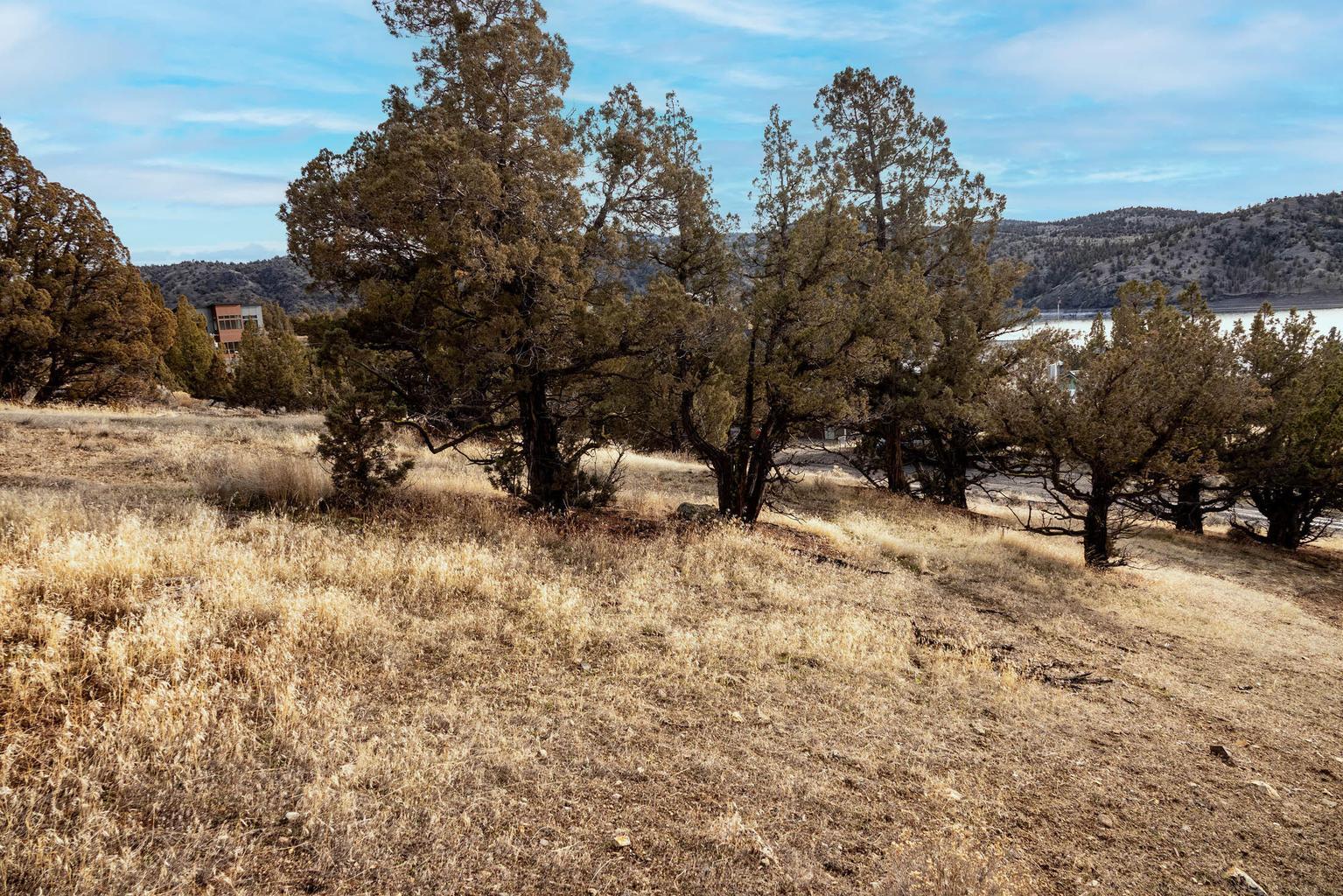 SE TL 1700 Vista Loop