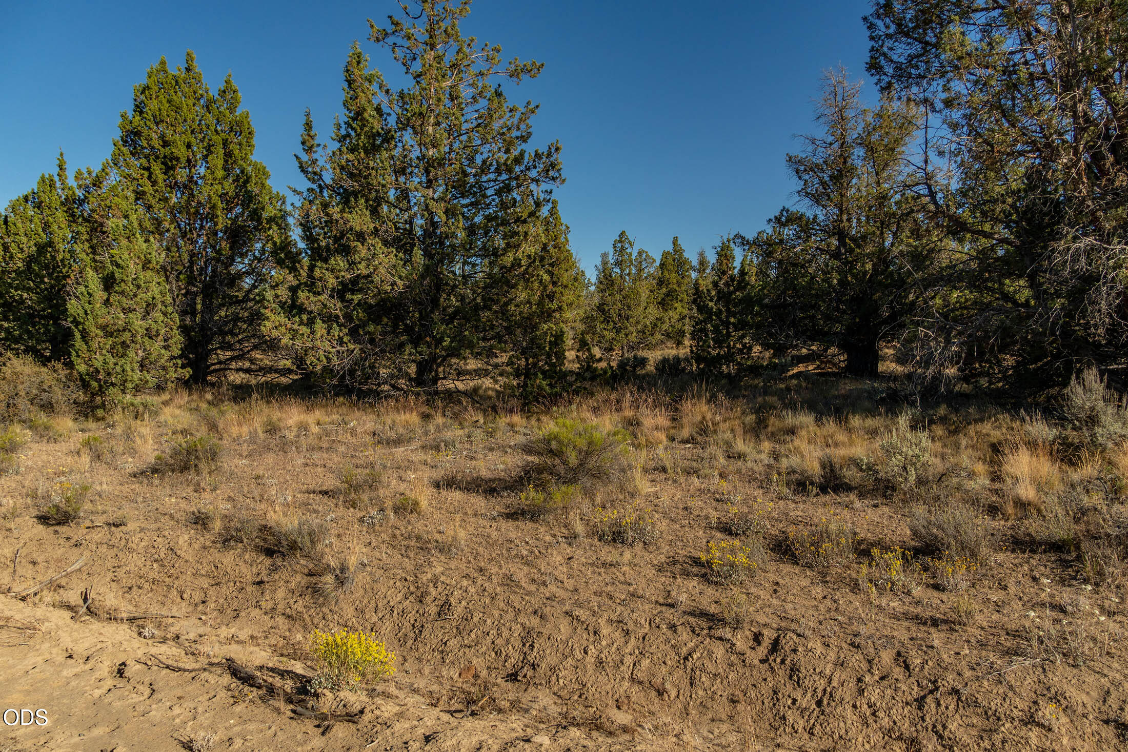TL 2900 SE Zuni Road