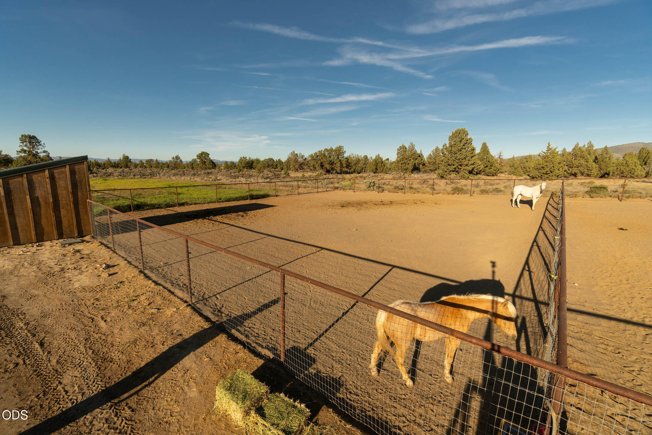 16470 SW Highway 126