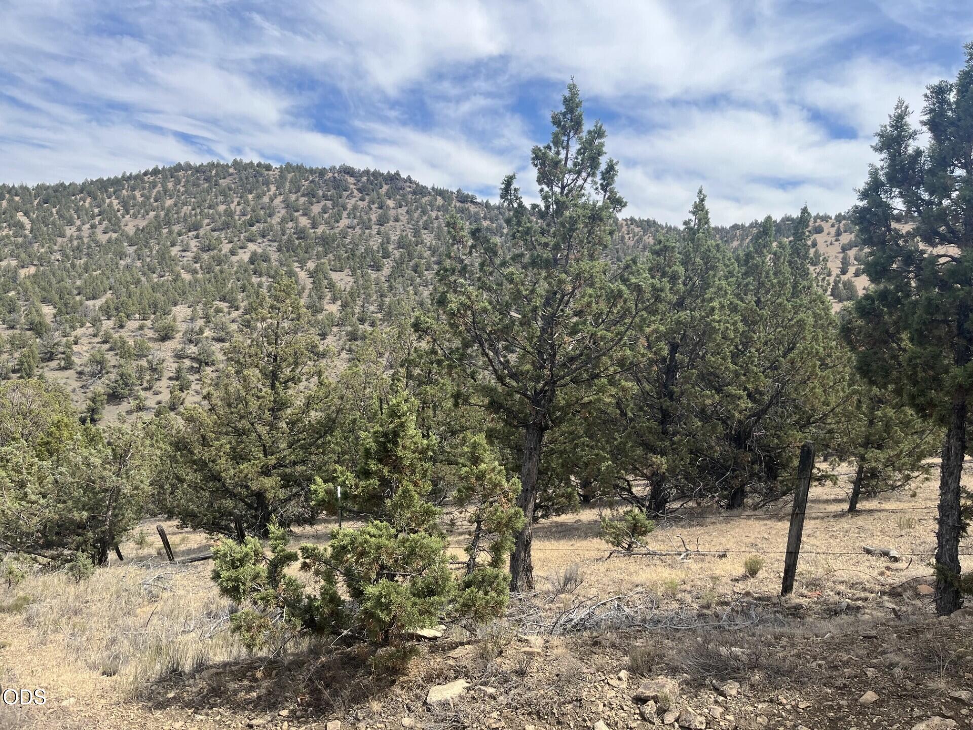 TL 1314 Blackbutte Way