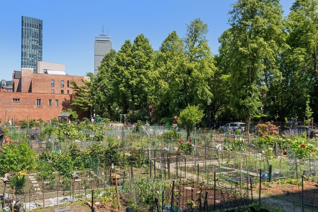 203 West Springfield Street # 1