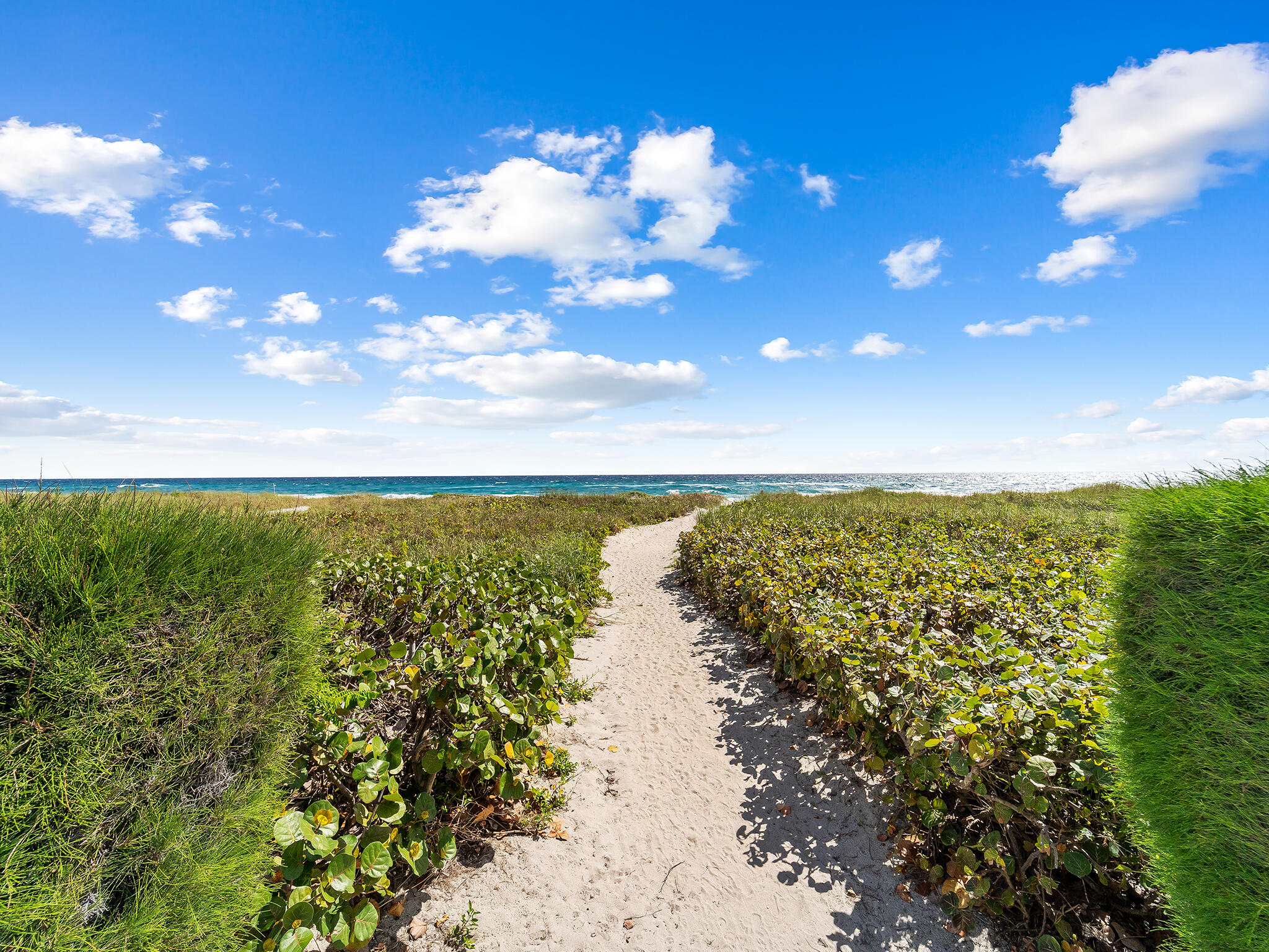 1225 S Ocean Boulevard 904