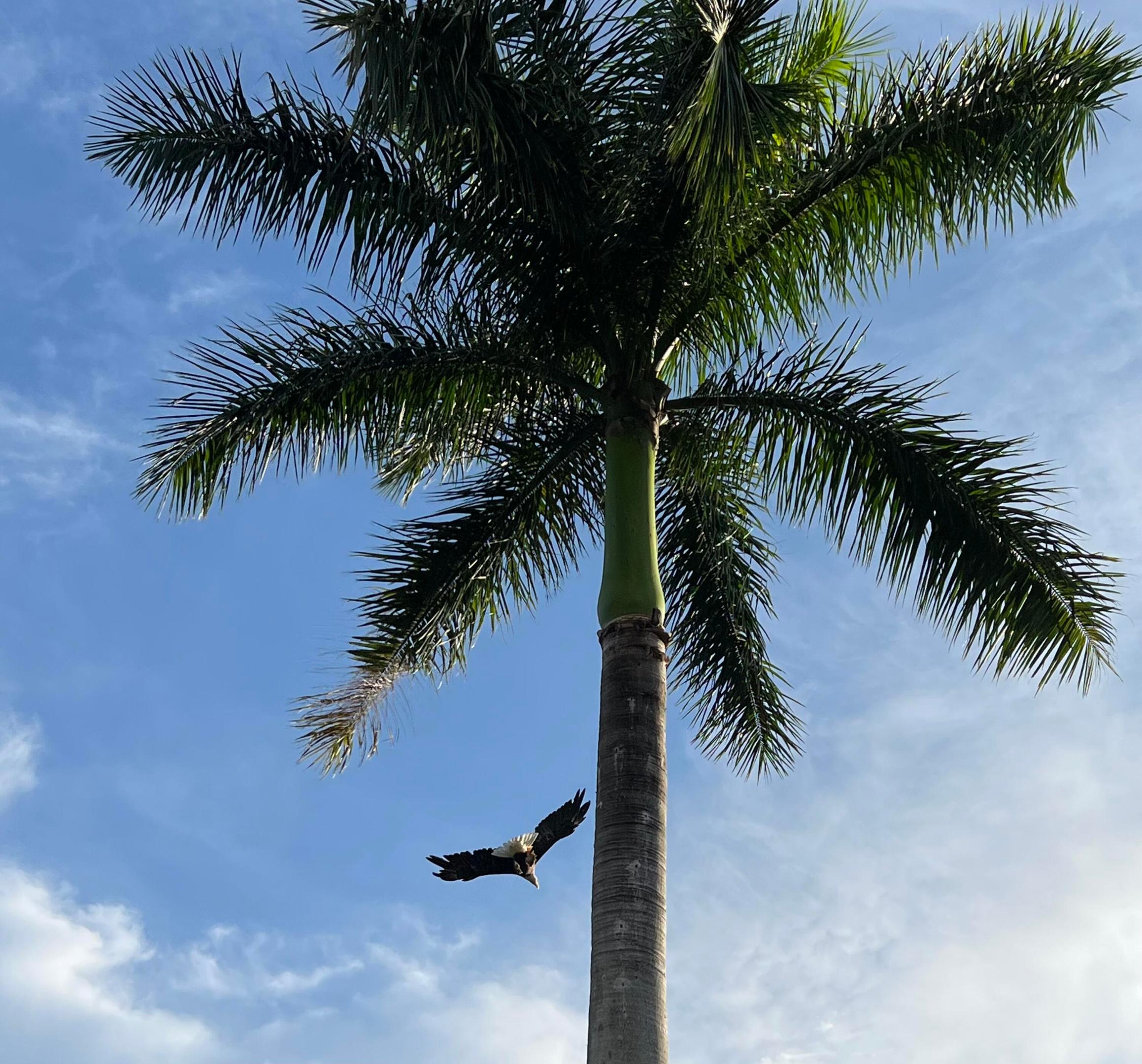 3558 Coco Lake Drive