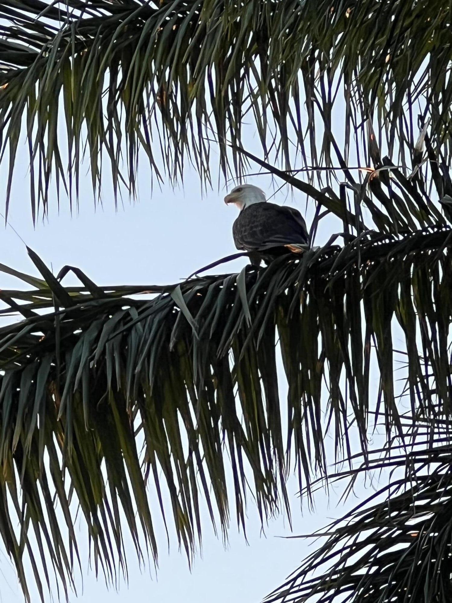 3558 Coco Lake Drive