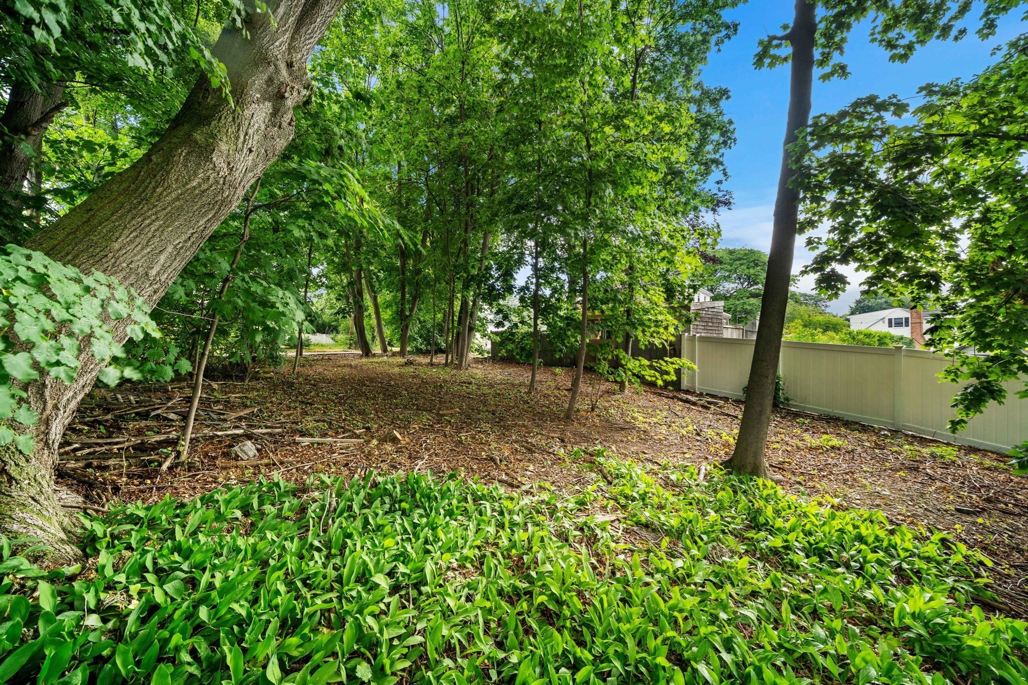239 Nahant Road