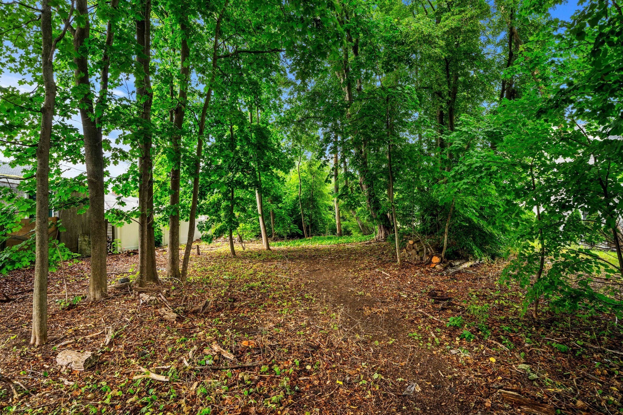 239 Nahant Road