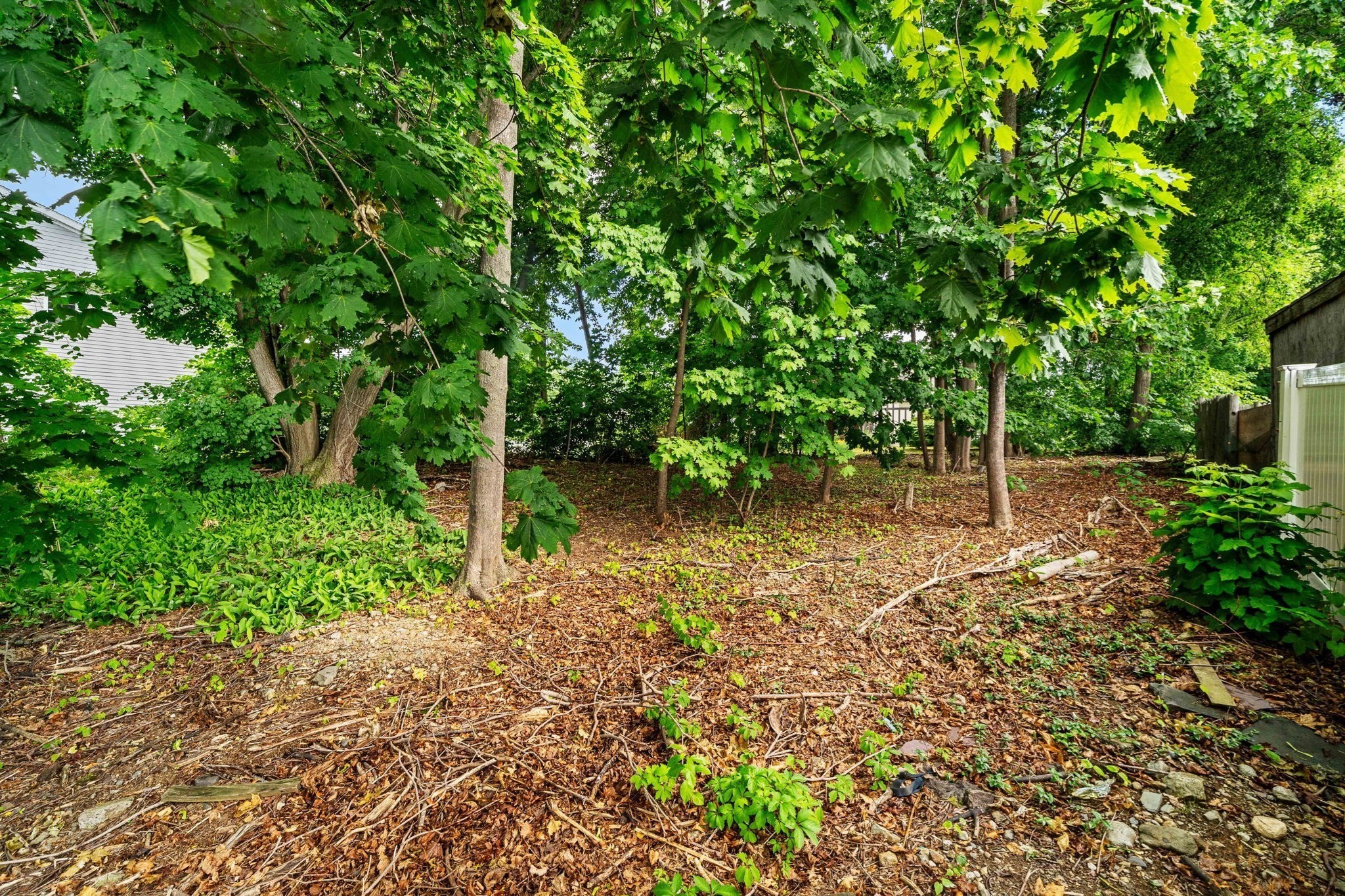 239 Nahant Road