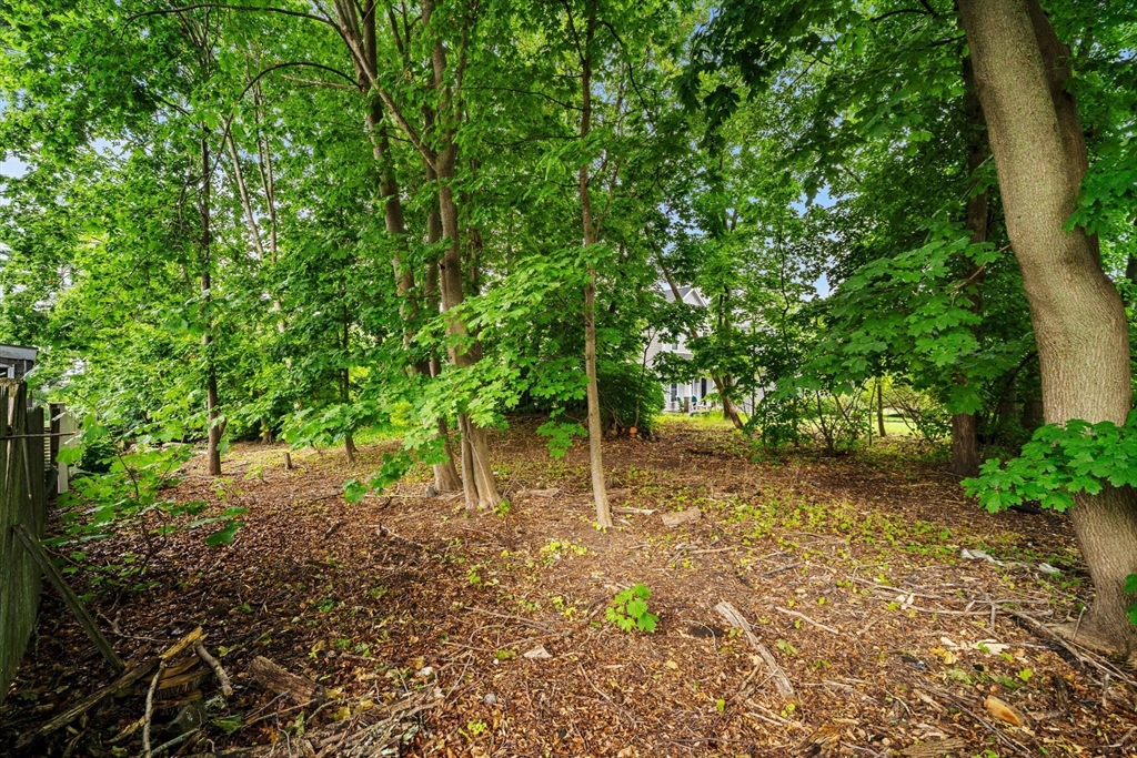 239 Nahant Road