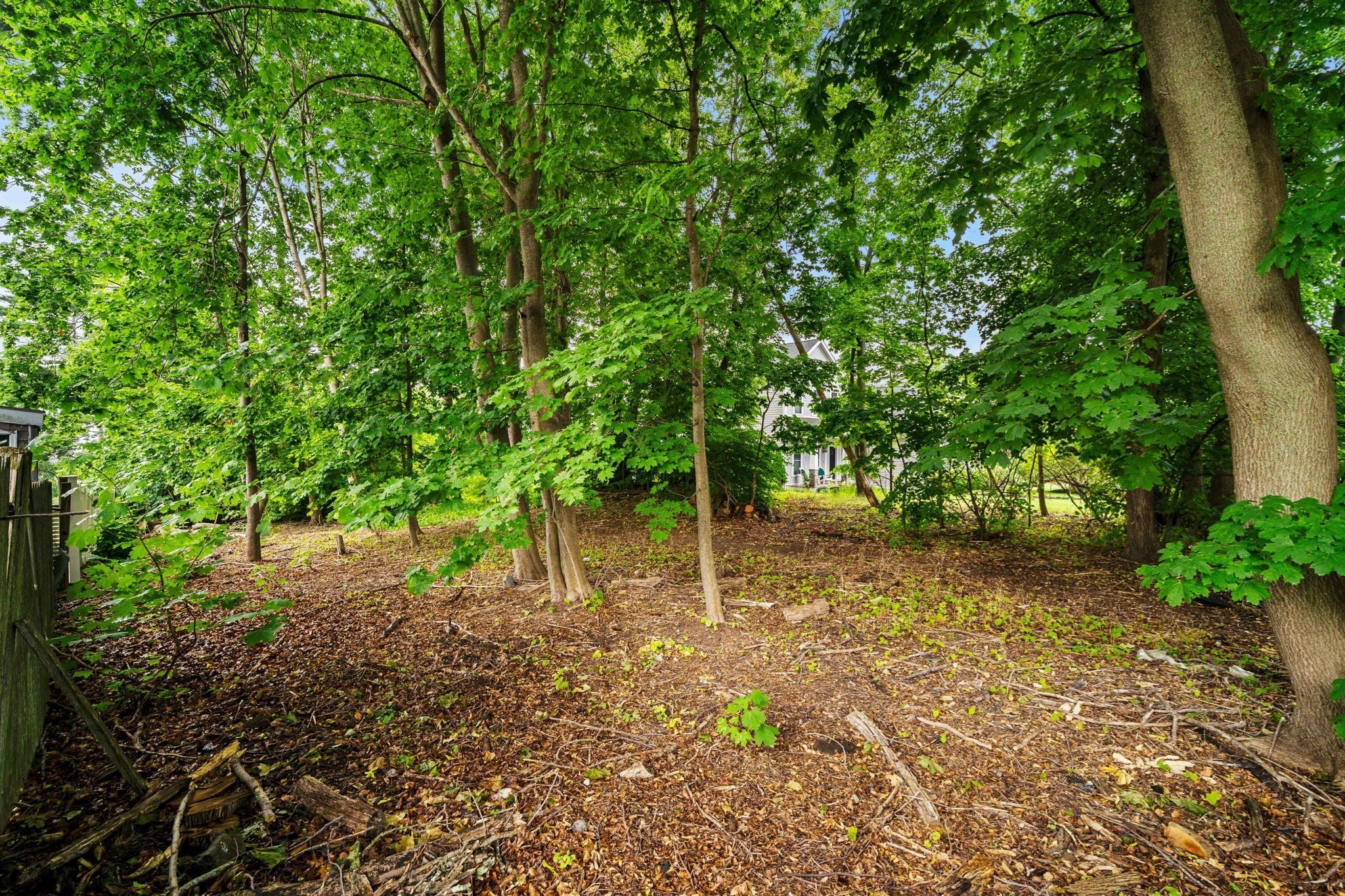 239 Nahant Road