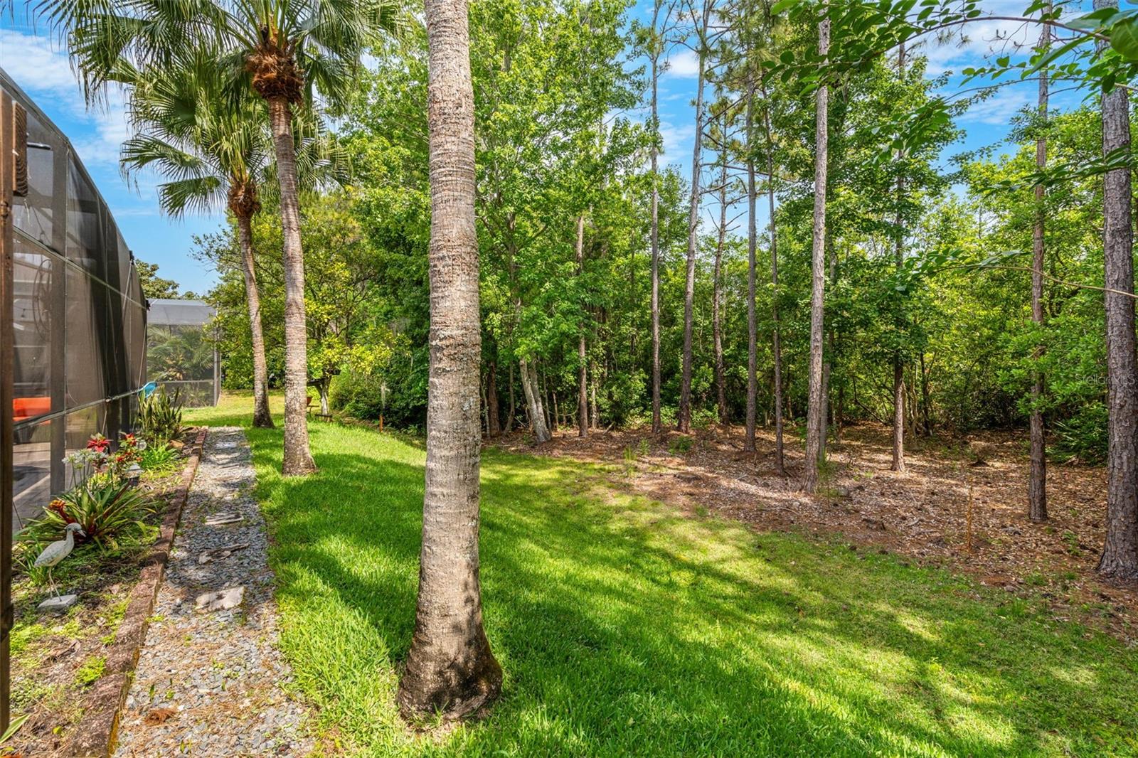 555 CAREY WAY