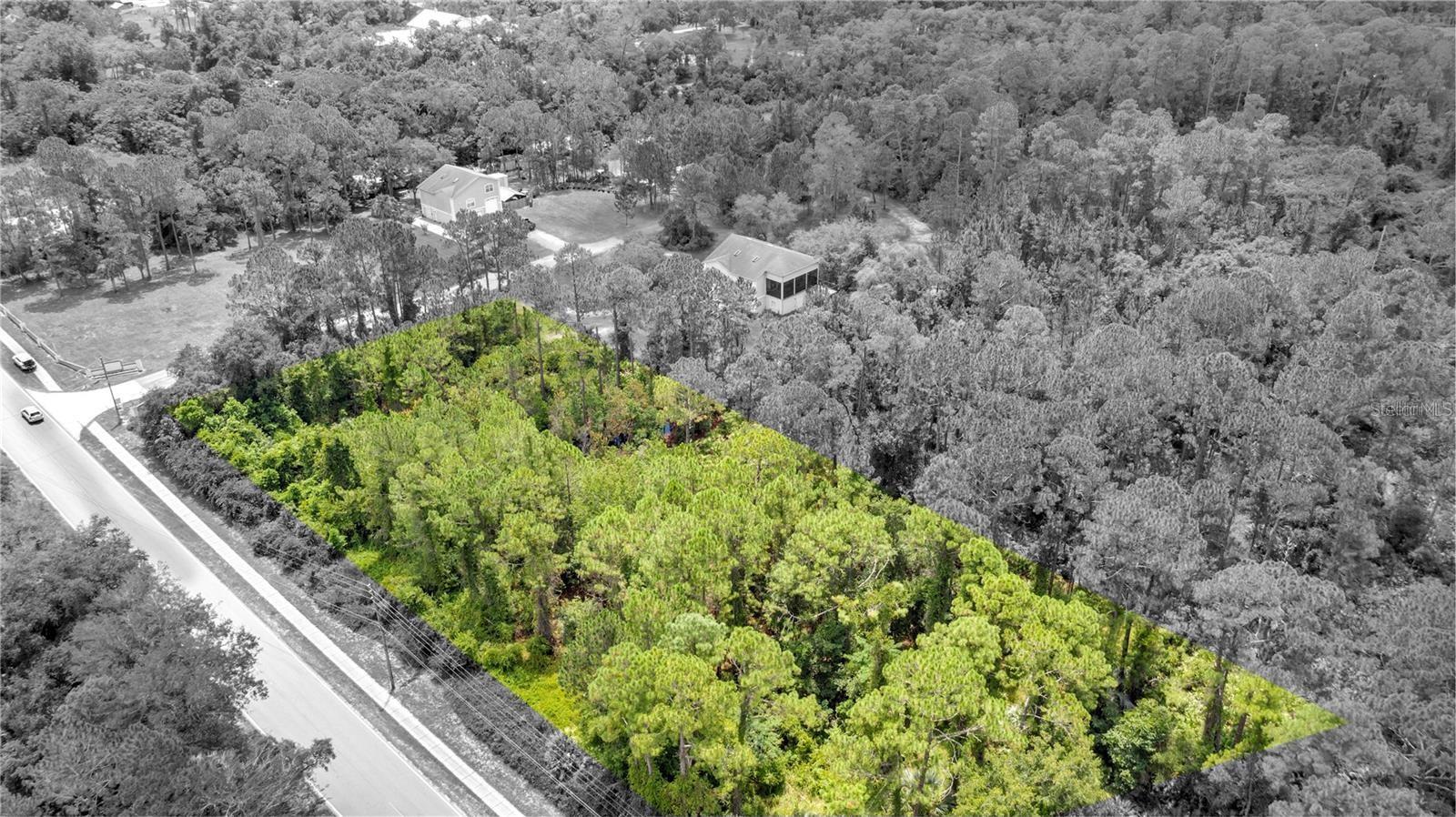 2 AFTON AVENUE