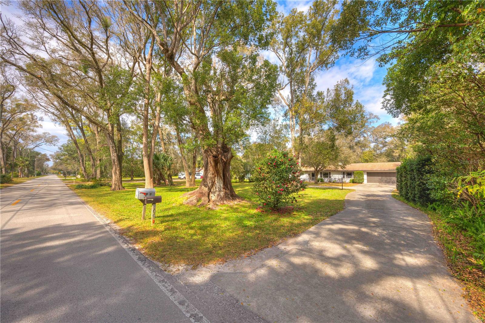 909 MERCERS FERNERY RD