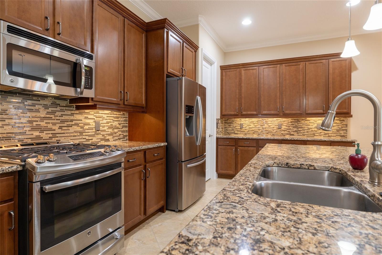 1647 VICTORIA GARDENS DR