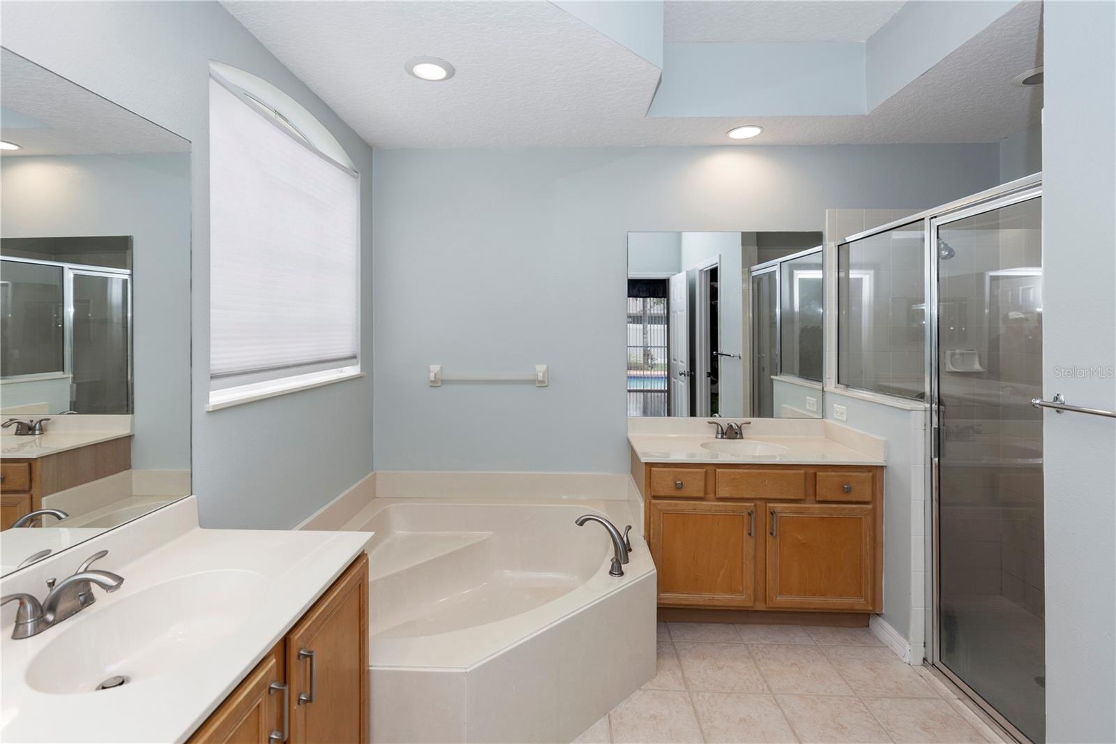 316 OAK SPRINGS DR