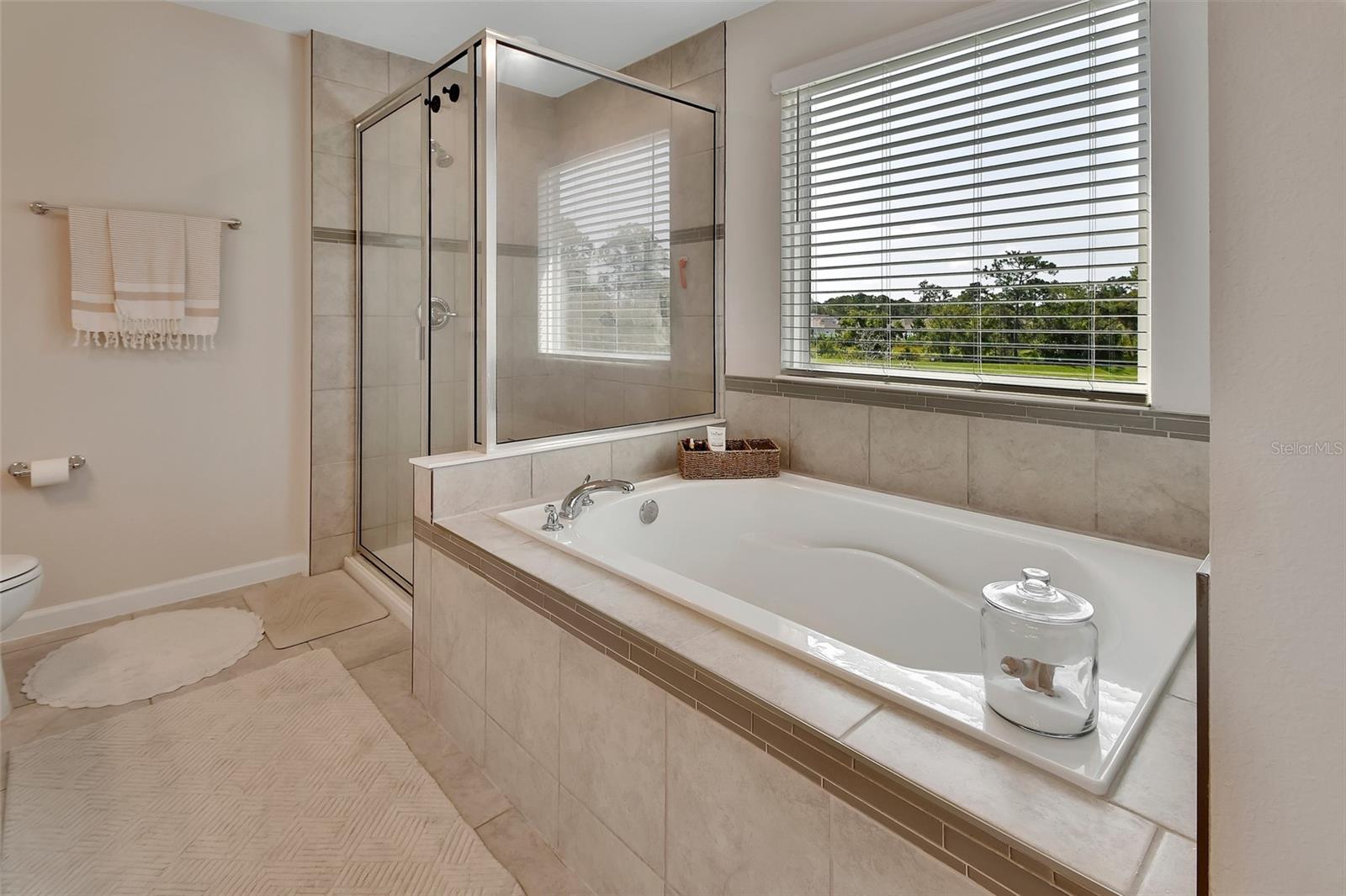 2050 HAVASU FALLS DR