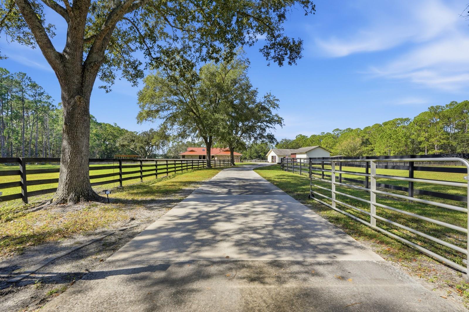 460 SPRING FOREST DR