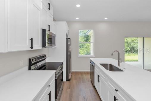 2524 MAXIMUS CT