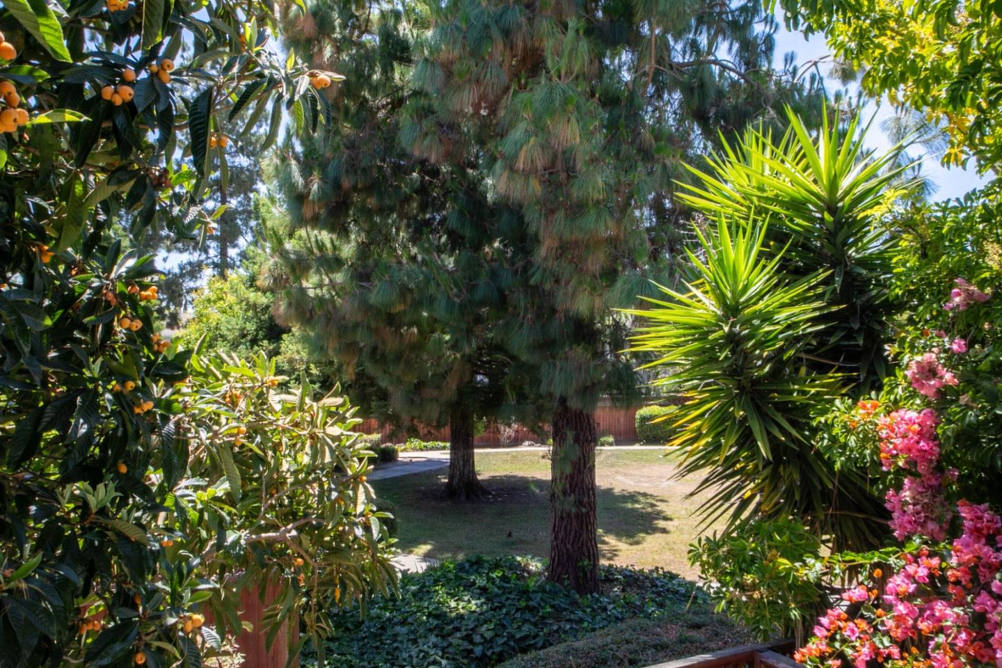 40189 Santa Teresa Common
