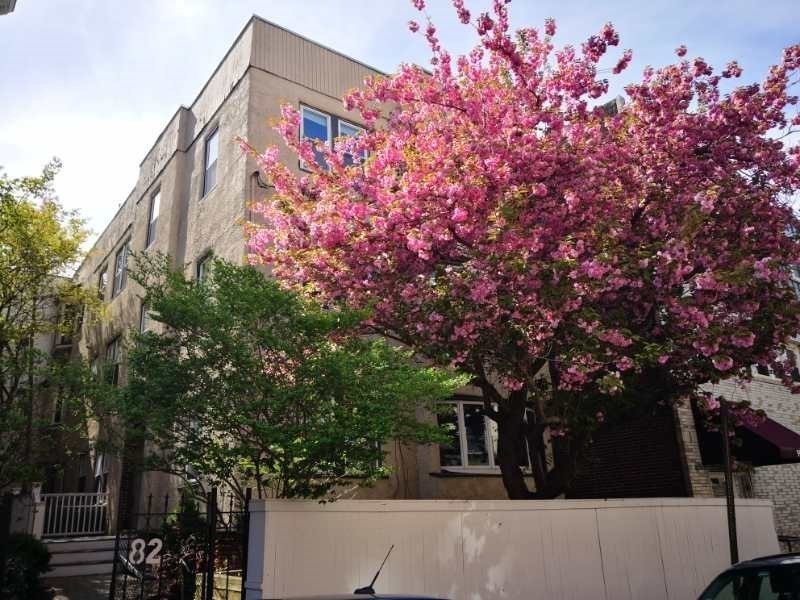 82 Hancock St # 1