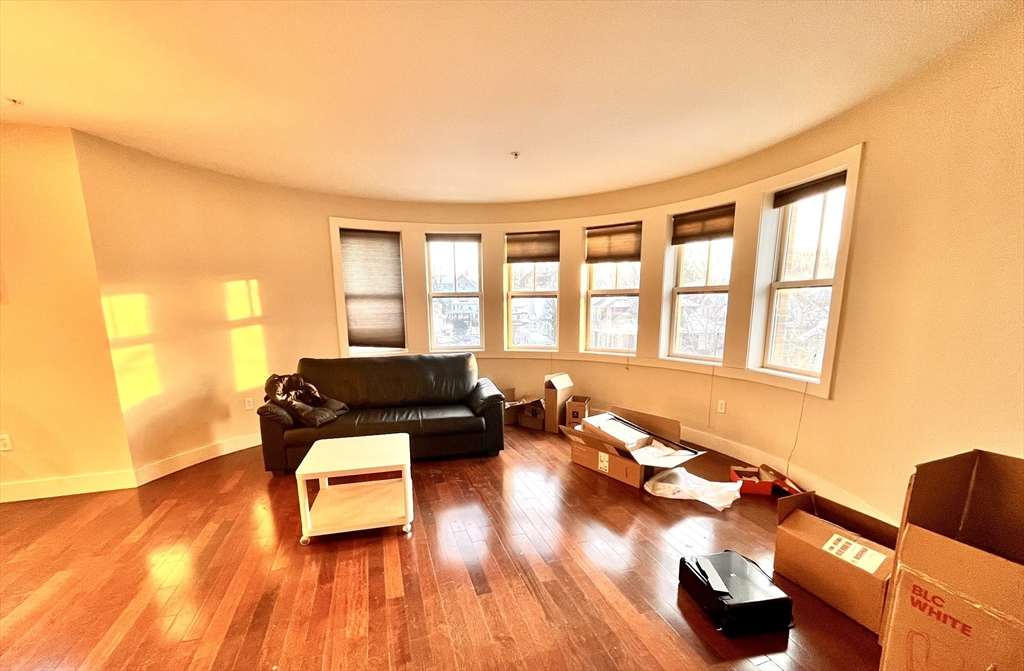 533 Cambridge Street # 301
