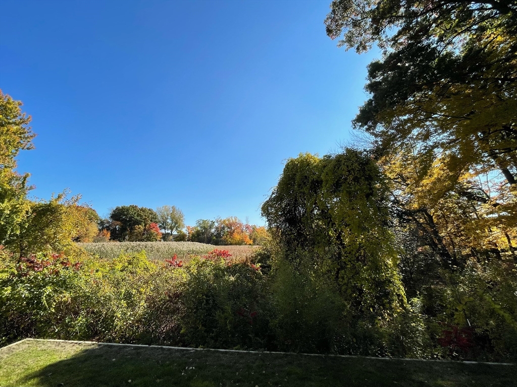 19 3rd Rd # 19