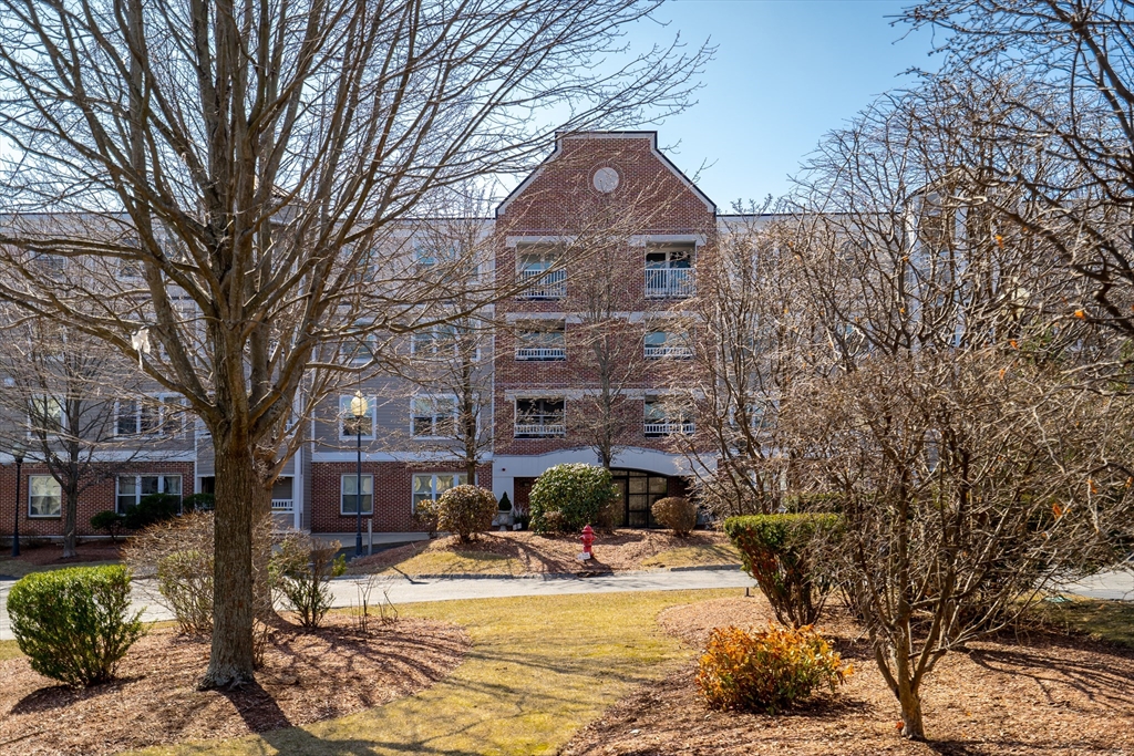318 Rindge Ave # 103