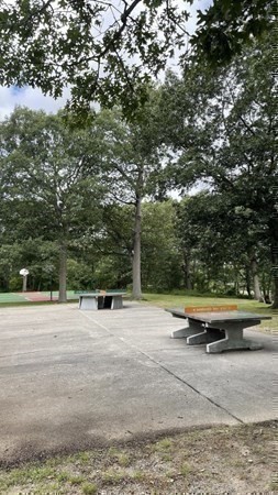 200 Falls Blvd # B305