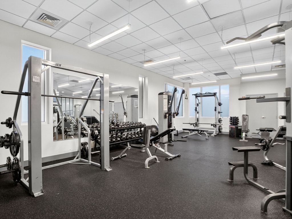 8-12 Museum Way # 222