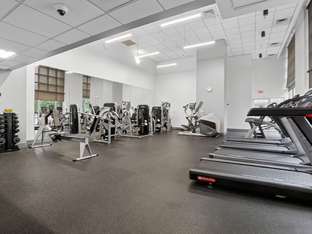 8-12 Museum Way # 222