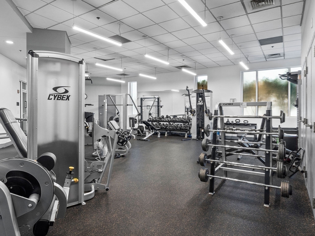 8-12 Museum Way # 222