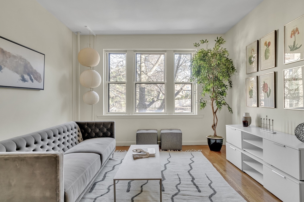 66 Marshal Street # 4